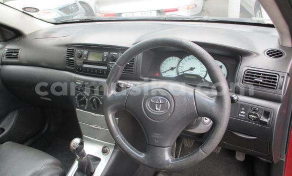 Tenga Tsaru Toyota Runx Tsvuku Mota in Bulawayo in Bulawayo Tenga Tsaru Toyota Runx Tsvuku Mota in Bulawayo in Bulawayo