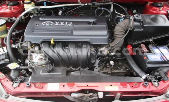 Tenga Tsaru Toyota Runx Tsvuku Mota in Bulawayo in Bulawayo Tenga Tsaru Toyota Runx Tsvuku Mota in Bulawayo in Bulawayo