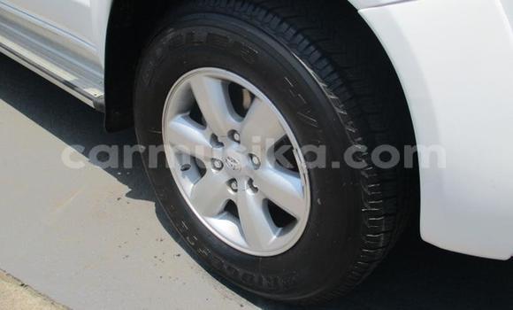 Nunua Ilio tumika Toyota Hilux Nyeupe Gari ndani ya Bulawayo nchini Bulawayo Nunua Ilio tumika Toyota Hilux Nyeupe Gari ndani ya Bulawayo nchini Bulawayo