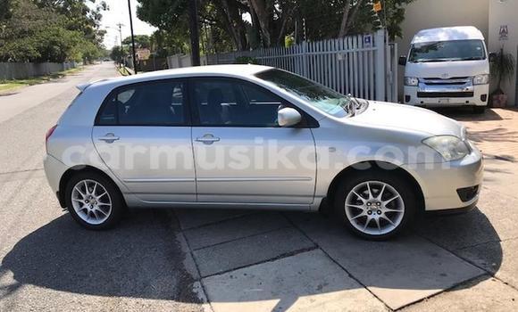 Nunua Ilio tumika Toyota Runx Fedha Gari ndani ya Bulawayo nchini Bulawayo Nunua Ilio tumika Toyota Runx Fedha Gari ndani ya Bulawayo nchini Bulawayo