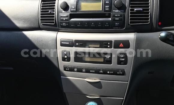 Nunua Ilio tumika Toyota Runx Fedha Gari ndani ya Bulawayo nchini Bulawayo Nunua Ilio tumika Toyota Runx Fedha Gari ndani ya Bulawayo nchini Bulawayo