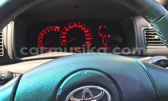 Nunua Ilio tumika Toyota Runx Fedha Gari ndani ya Bulawayo nchini Bulawayo Nunua Ilio tumika Toyota Runx Fedha Gari ndani ya Bulawayo nchini Bulawayo