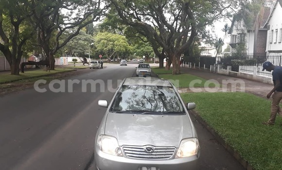 Buy Used Toyota Corolla Silver Car in Harare in Harare Buy Used Toyota Corolla Silver Car in Harare in Harare