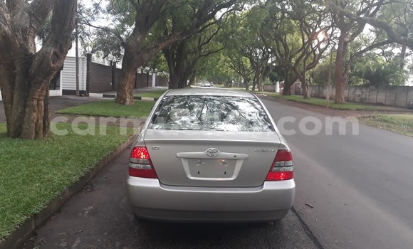 Buy Used Toyota Corolla Silver Car in Harare in Harare Buy Used Toyota Corolla Silver Car in Harare in Harare