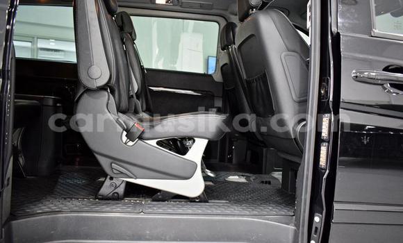 Tenga Tsaru Mercedes‒Benz Viano Nhema Mota in Beitbridge in Matabeleland South Tenga Tsaru Mercedes‒Benz Viano Nhema Mota in Beitbridge in Matabeleland South