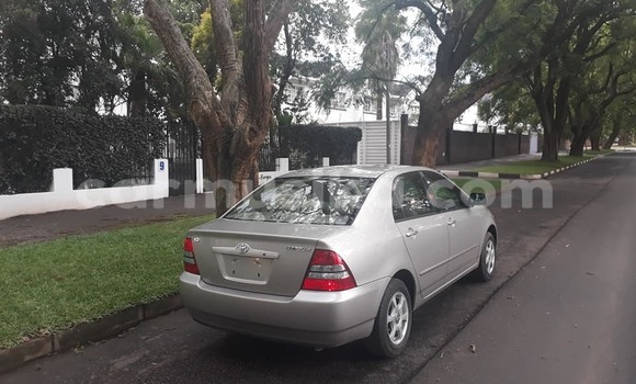 Buy Used Toyota Corolla Silver Car in Harare in Harare Buy Used Toyota Corolla Silver Car in Harare in Harare