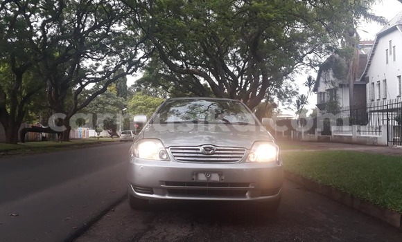 Buy Used Toyota Corolla Silver Car in Harare in Harare Buy Used Toyota Corolla Silver Car in Harare in Harare