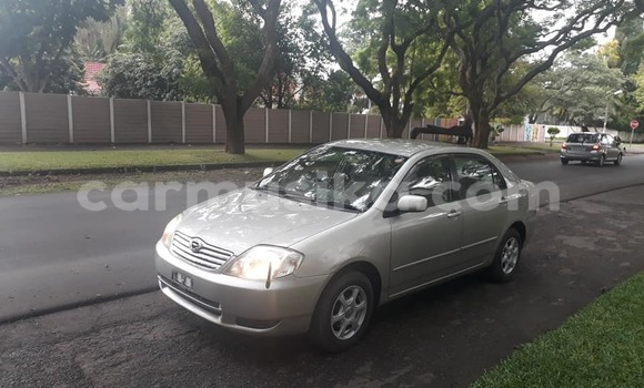 Buy Used Toyota Corolla Silver Car in Harare in Harare Buy Used Toyota Corolla Silver Car in Harare in Harare