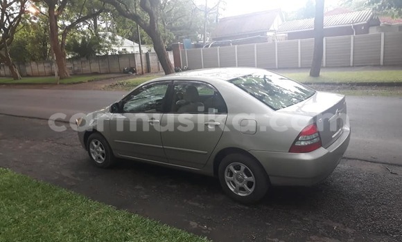 Buy Used Toyota Corolla Silver Car in Harare in Harare Buy Used Toyota Corolla Silver Car in Harare in Harare