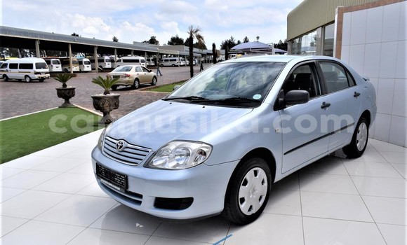 Buy Used Toyota Corolla Other Car in Beitbridge in Matabeleland South Buy Used Toyota Corolla Other Car in Beitbridge in Matabeleland South