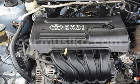 Buy Used Toyota Corolla Other Car in Beitbridge in Matabeleland South Buy Used Toyota Corolla Other Car in Beitbridge in Matabeleland South