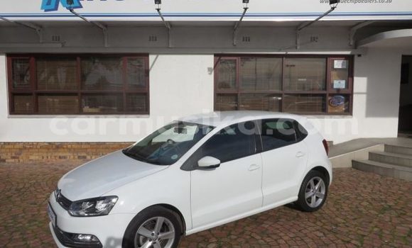 Buy Used Volkswagen Polo White Car in Beitbridge in Matabeleland South Buy Used Volkswagen Polo White Car in Beitbridge in Matabeleland South