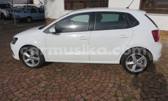 Buy Used Volkswagen Polo White Car in Beitbridge in Matabeleland South Buy Used Volkswagen Polo White Car in Beitbridge in Matabeleland South
