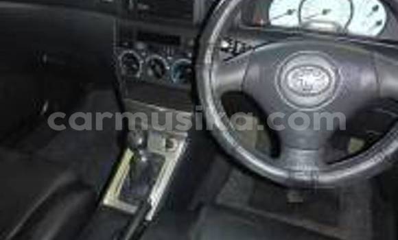 Buy Used Toyota Runx Other Car in Beitbridge in Matabeleland South Buy Used Toyota Runx Other Car in Beitbridge in Matabeleland South