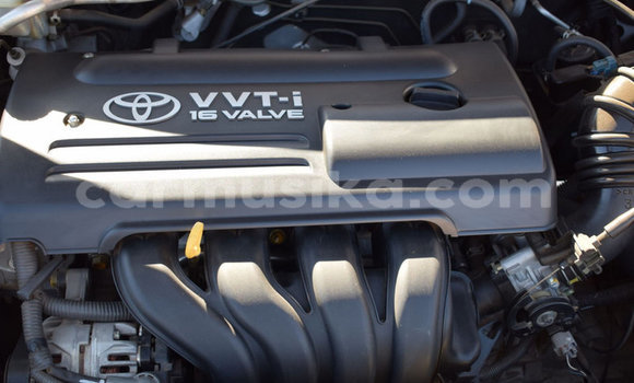 Buy Used Toyota Runx Other Car in Beitbridge in Matabeleland South Buy Used Toyota Runx Other Car in Beitbridge in Matabeleland South