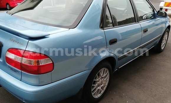 Acheter Occasion Voiture Toyota Corolla Bleu à Beitbridge, Matabeleland South Acheter Occasion Voiture Toyota Corolla Bleu à Beitbridge, Matabeleland South