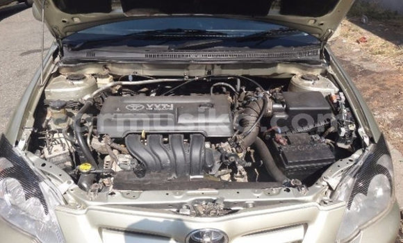 Tenga Tsaru Toyota Runx Sirivha Mota in Beitbridge in Matabeleland South Tenga Tsaru Toyota Runx Sirivha Mota in Beitbridge in Matabeleland South