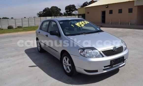 Buy Used Toyota Runx Silver Car in Beitbridge in Matabeleland South Buy Used Toyota Runx Silver Car in Beitbridge in Matabeleland South