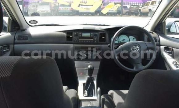 Buy Used Toyota Runx Silver Car in Beitbridge in Matabeleland South Buy Used Toyota Runx Silver Car in Beitbridge in Matabeleland South