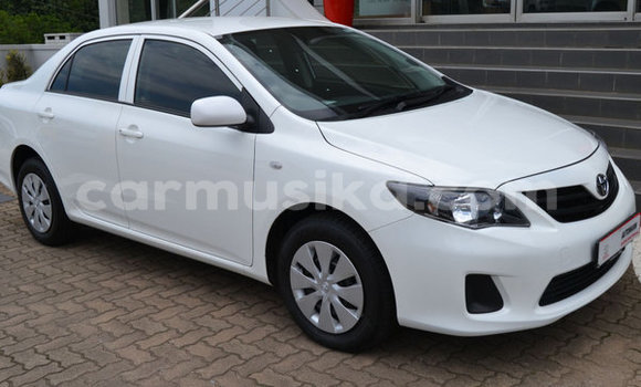 Tenga Tsaru Toyota Corolla Chena Mota in Belvedere in Harare Tenga Tsaru Toyota Corolla Chena Mota in Belvedere in Harare