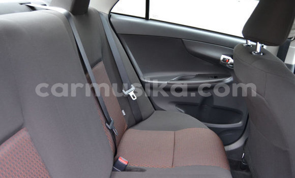 Tenga Tsaru Toyota Corolla Chena Mota in Belvedere in Harare Tenga Tsaru Toyota Corolla Chena Mota in Belvedere in Harare