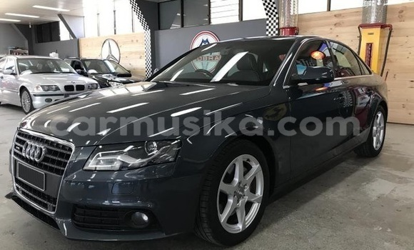 Tenga Tsaru Audi A4 Nhema Mota in Mapopoma eVhitori in Matabeleland North Tenga Tsaru Audi A4 Nhema Mota in Mapopoma eVhitori in Matabeleland North