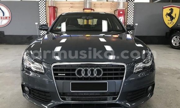 Tenga Tsaru Audi A4 Nhema Mota in Mapopoma eVhitori in Matabeleland North Tenga Tsaru Audi A4 Nhema Mota in Mapopoma eVhitori in Matabeleland North