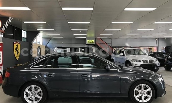 Tenga Tsaru Audi A4 Nhema Mota in Mapopoma eVhitori in Matabeleland North Tenga Tsaru Audi A4 Nhema Mota in Mapopoma eVhitori in Matabeleland North