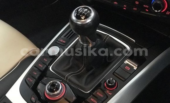 Tenga Tsaru Audi A4 Nhema Mota in Mapopoma eVhitori in Matabeleland North Tenga Tsaru Audi A4 Nhema Mota in Mapopoma eVhitori in Matabeleland North