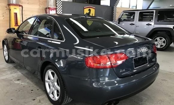 Tenga Tsaru Audi A4 Nhema Mota in Mapopoma eVhitori in Matabeleland North Tenga Tsaru Audi A4 Nhema Mota in Mapopoma eVhitori in Matabeleland North