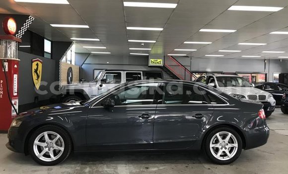 Tenga Tsaru Audi A4 Nhema Mota in Mapopoma eVhitori in Matabeleland North Tenga Tsaru Audi A4 Nhema Mota in Mapopoma eVhitori in Matabeleland North