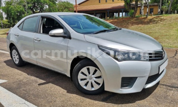 Nunua Ilio tumika Toyota Corolla Fedha Gari ndani ya Alexandra Park nchini Harare Nunua Ilio tumika Toyota Corolla Fedha Gari ndani ya Alexandra Park nchini Harare