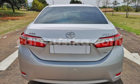 Nunua Ilio tumika Toyota Corolla Fedha Gari ndani ya Alexandra Park nchini Harare Nunua Ilio tumika Toyota Corolla Fedha Gari ndani ya Alexandra Park nchini Harare