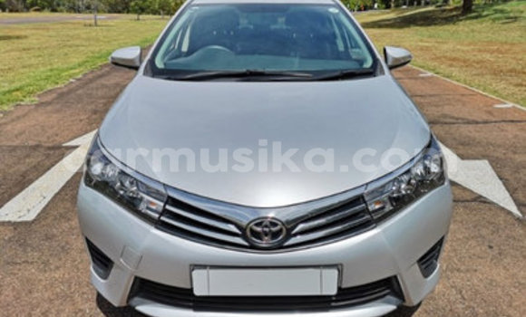 Nunua Ilio tumika Toyota Corolla Fedha Gari ndani ya Alexandra Park nchini Harare Nunua Ilio tumika Toyota Corolla Fedha Gari ndani ya Alexandra Park nchini Harare