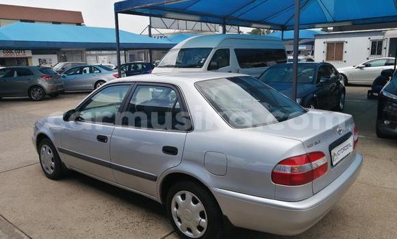 Acheter Occasion Voiture Toyota Corolla Gris à Beitbridge, Matabeleland South Acheter Occasion Voiture Toyota Corolla Gris à Beitbridge, Matabeleland South