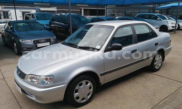 Acheter Occasion Voiture Toyota Corolla Gris à Beitbridge, Matabeleland South Acheter Occasion Voiture Toyota Corolla Gris à Beitbridge, Matabeleland South
