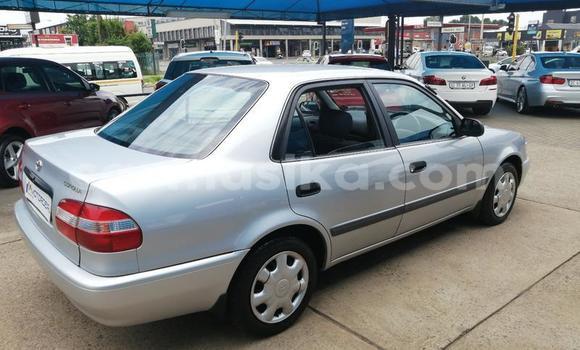 Acheter Occasion Voiture Toyota Corolla Gris à Beitbridge, Matabeleland South Acheter Occasion Voiture Toyota Corolla Gris à Beitbridge, Matabeleland South