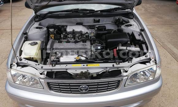 Acheter Occasion Voiture Toyota Corolla Gris à Beitbridge, Matabeleland South Acheter Occasion Voiture Toyota Corolla Gris à Beitbridge, Matabeleland South