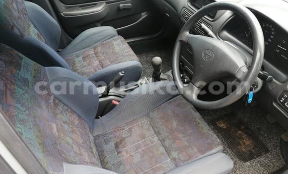 Acheter Occasion Voiture Toyota Corolla Gris à Beitbridge, Matabeleland South Acheter Occasion Voiture Toyota Corolla Gris à Beitbridge, Matabeleland South