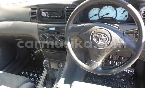 Buy Used Toyota Corolla Red Car in Beitbridge in Matabeleland South Buy Used Toyota Corolla Red Car in Beitbridge in Matabeleland South