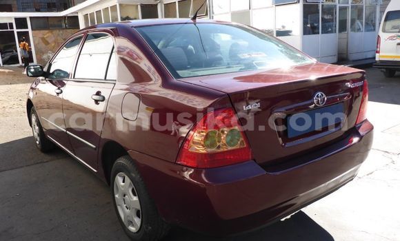 Buy Used Toyota Corolla Red Car in Beitbridge in Matabeleland South Buy Used Toyota Corolla Red Car in Beitbridge in Matabeleland South