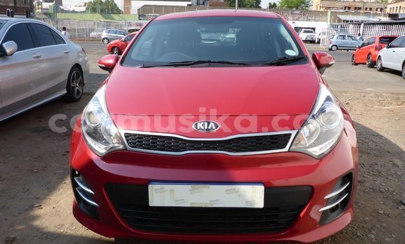 Tenga Tsaru Kia Rio Tsvuku Mota in Beitbridge in Matabeleland South Tenga Tsaru Kia Rio Tsvuku Mota in Beitbridge in Matabeleland South