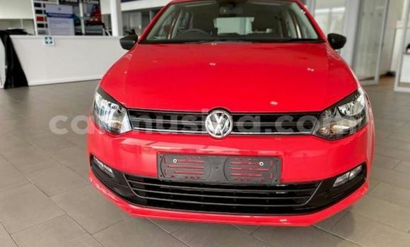 Buy Used Volkswagen Polo Red Car in Beitbridge in Matabeleland South Buy Used Volkswagen Polo Red Car in Beitbridge in Matabeleland South