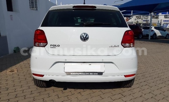 Tenga Tsaru Volkswagen Polo Chena Mota in Beitbridge in Matabeleland South Tenga Tsaru Volkswagen Polo Chena Mota in Beitbridge in Matabeleland South