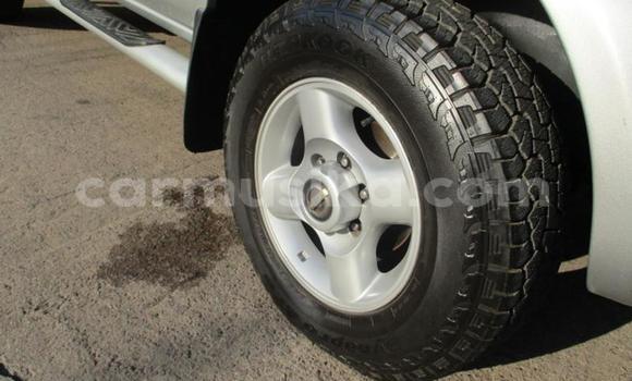 Acheter Occasion Voiture Nissan Hardbody Gris à Beitbridge, Matabeleland South Acheter Occasion Voiture Nissan Hardbody Gris à Beitbridge, Matabeleland South