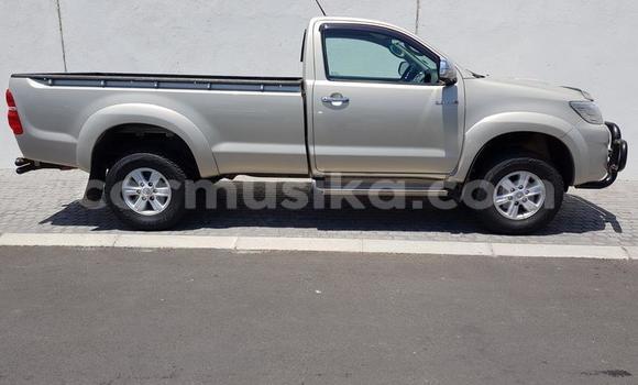Nunua Ilio tumika Toyota Hilux Nyingine Gari ndani ya Beitbridge nchini Matabeleland Kusini Nunua Ilio tumika Toyota Hilux Nyingine Gari ndani ya Beitbridge nchini Matabeleland Kusini