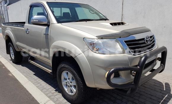 Nunua Ilio tumika Toyota Hilux Nyingine Gari ndani ya Beitbridge nchini Matabeleland Kusini Nunua Ilio tumika Toyota Hilux Nyingine Gari ndani ya Beitbridge nchini Matabeleland Kusini