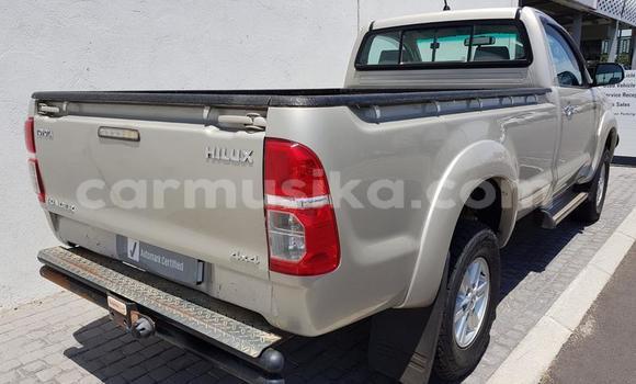 Nunua Ilio tumika Toyota Hilux Nyingine Gari ndani ya Beitbridge nchini Matabeleland Kusini Nunua Ilio tumika Toyota Hilux Nyingine Gari ndani ya Beitbridge nchini Matabeleland Kusini