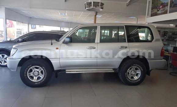 Buy Used Toyota Land Cruiser Silver Car in Beitbridge in Matabeleland South Buy Used Toyota Land Cruiser Silver Car in Beitbridge in Matabeleland South