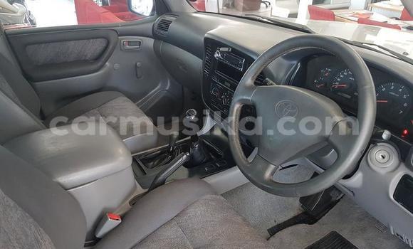 Buy Used Toyota Land Cruiser Silver Car in Beitbridge in Matabeleland South Buy Used Toyota Land Cruiser Silver Car in Beitbridge in Matabeleland South